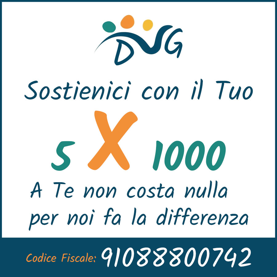 APS DaGrande StudioGrafico5X1000